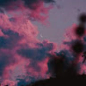 Meet your Posher, Dakota